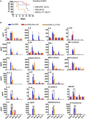 “Small” Intestinal Immunopathology Plays a “Big” Role in Lethal Cytokine Release Syndrome, and Its Modulation by Interferon-γ, IL-17A, and a Janus Kinase Inhibitor